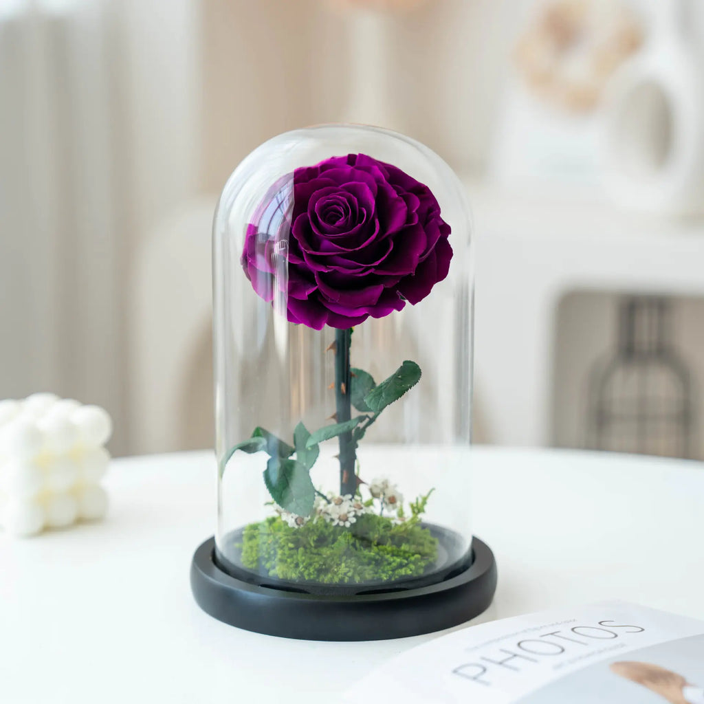 Eternal Rose of Love – Beauty & Beast Inspired