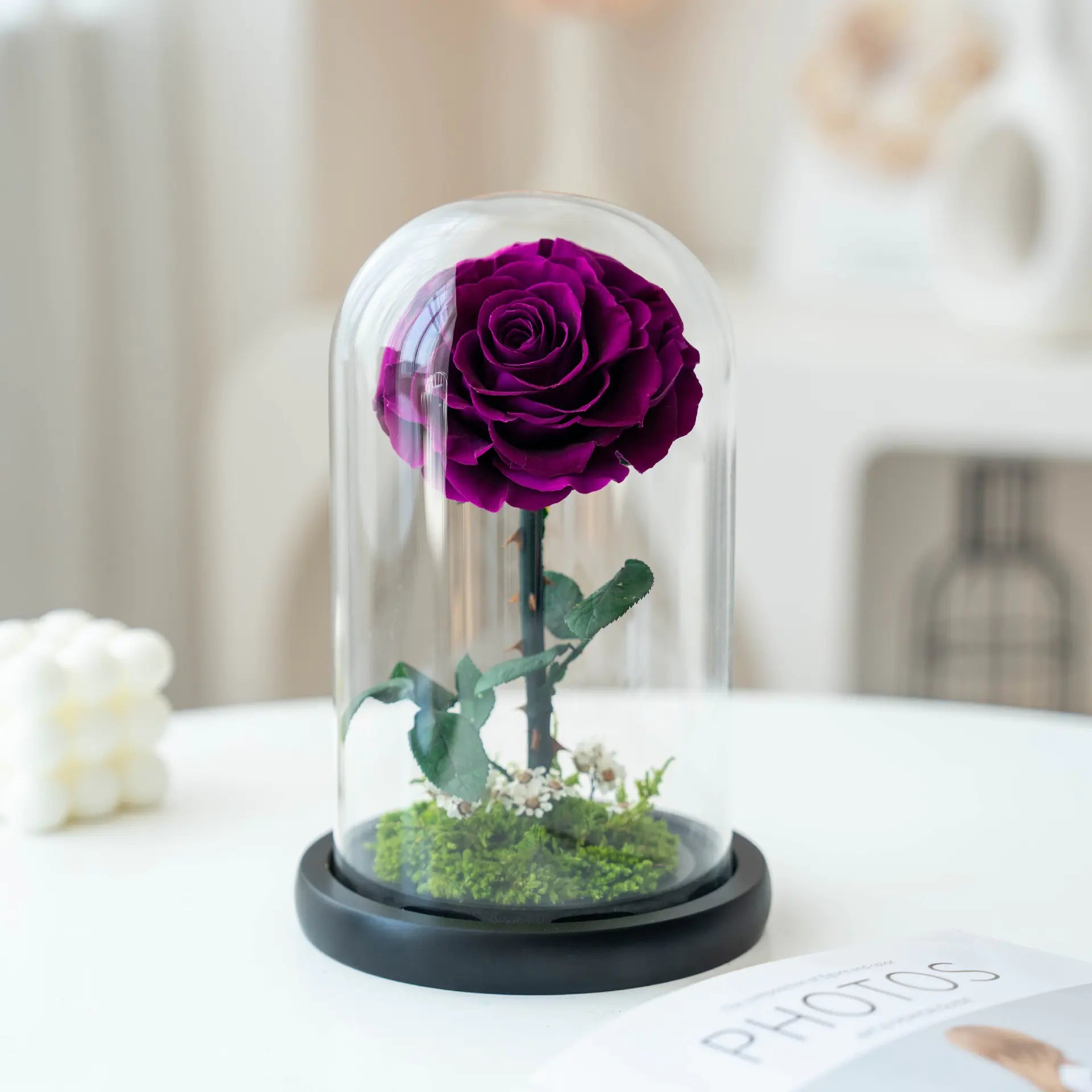 Eternal Rose of Love – Beauty & Beast Inspired
