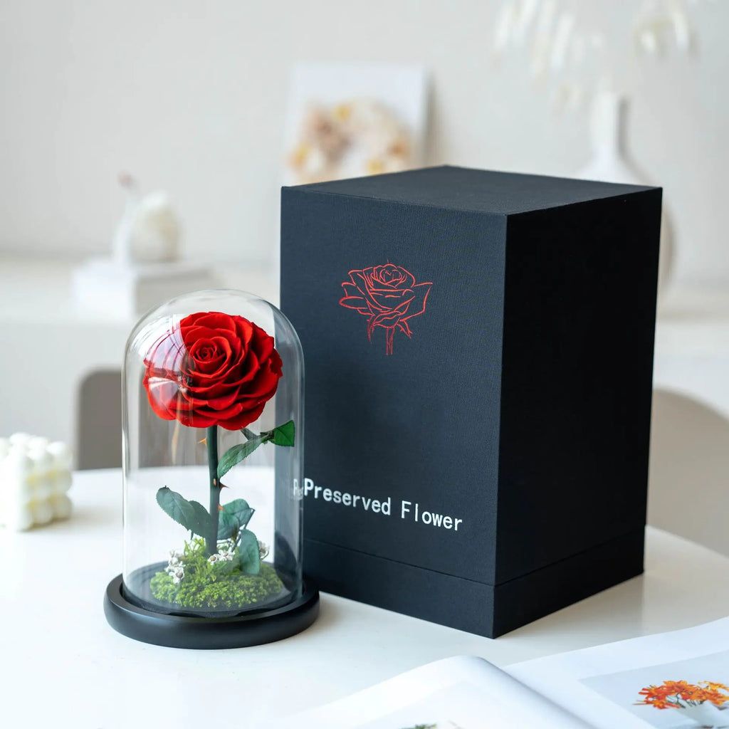 Eternal Rose of Love – Beauty & Beast Inspired
