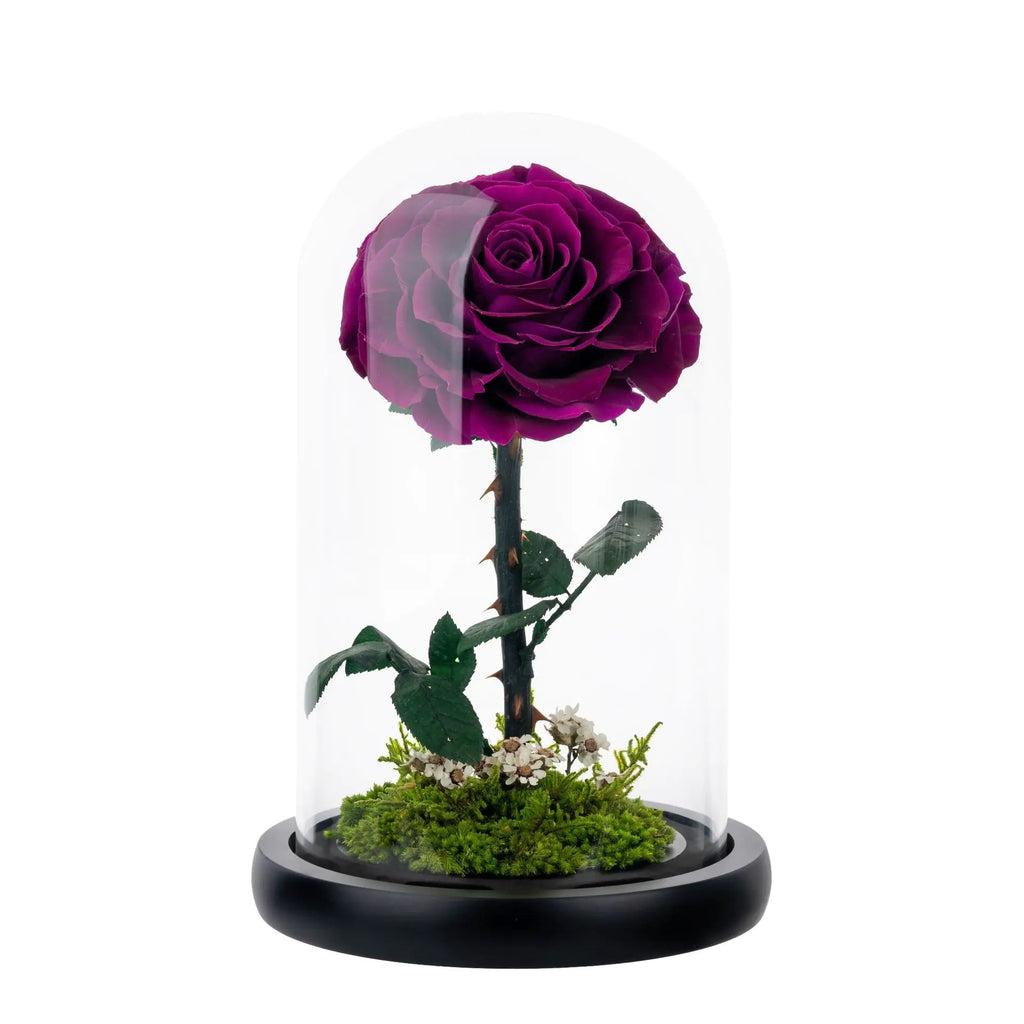 Eternal Rose of Love – Beauty & Beast Inspired