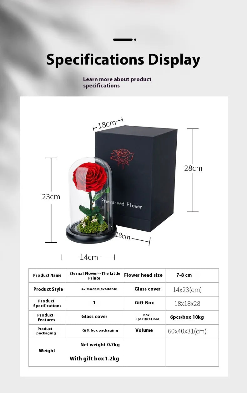 Eternal Rose of Love – Beauty & Beast Inspired