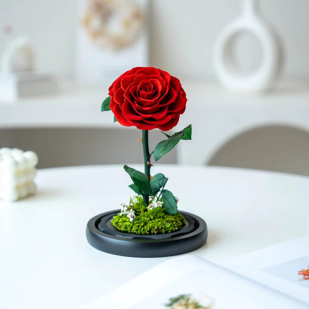 Eternal Rose of Love – Beauty & Beast Inspired