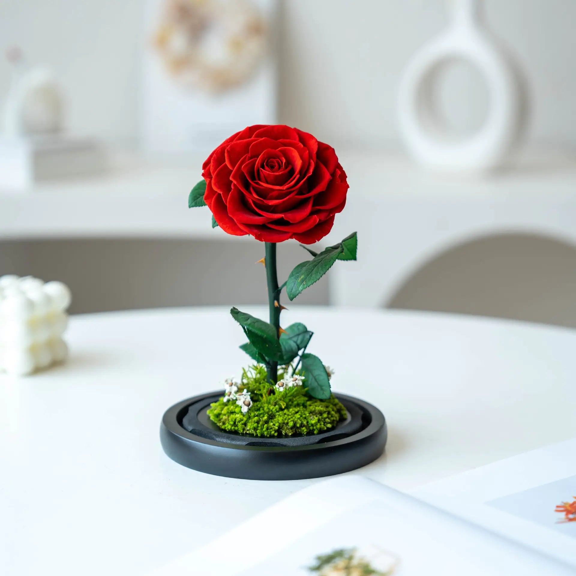 Eternal Rose of Love – Beauty & Beast Inspired